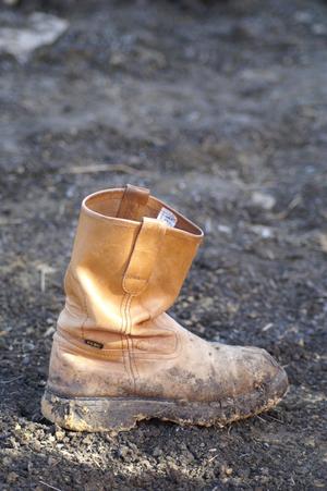 [Close-up of empty boot]