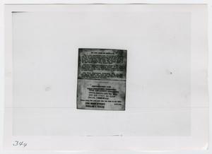 Primary view of object titled '[Identification Cards, Photograph #3]'.