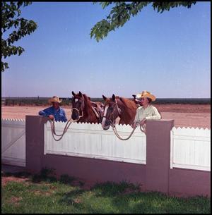 [Man and woman behind a fence with horses]
