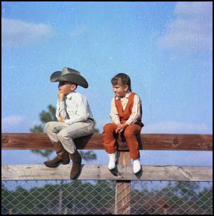 [Two children sitting on a wooden fence]